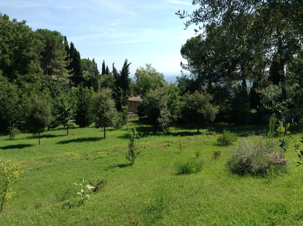 Le Romite Hotel San Gimignano Buitenkant foto